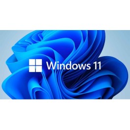 installation ou réinstallation Windows 11 ( en - de 24h )